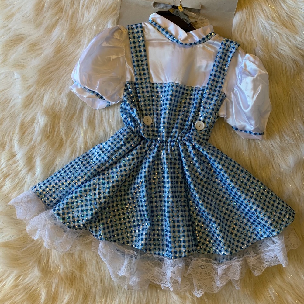 Girls Wizard of Oz “Dorothy” Costume